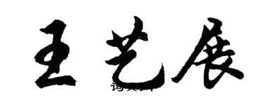 胡問遂王藝展行書個性簽名怎么寫