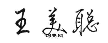 駱恆光王美聰行書個性簽名怎么寫