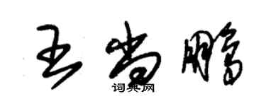 朱錫榮王尚鵬草書個性簽名怎么寫