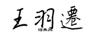 王正良王羽遷行書個性簽名怎么寫