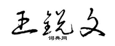 曾慶福王銳文草書個性簽名怎么寫