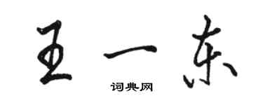 駱恆光王一東行書個性簽名怎么寫