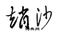駱恆光趙沙草書個性簽名怎么寫