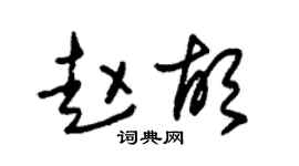 朱錫榮趙胡草書個性簽名怎么寫