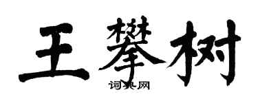 翁闓運王攀樹楷書個性簽名怎么寫