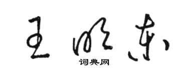 駱恆光王明東草書個性簽名怎么寫