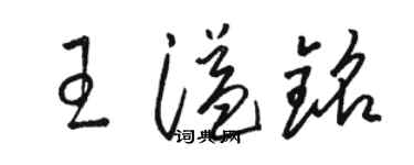駱恆光王溢銘草書個性簽名怎么寫