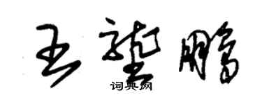 朱錫榮王壟鵬草書個性簽名怎么寫