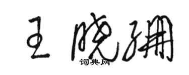 駱恆光王曉繃草書個性簽名怎么寫