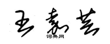 朱錫榮王嘉芸草書個性簽名怎么寫