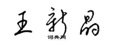 梁錦英王新晶草書個性簽名怎么寫