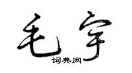 曾慶福毛宇草書個性簽名怎么寫