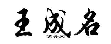 胡問遂王成名行書個性簽名怎么寫