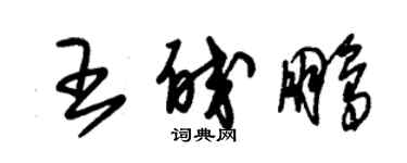 朱錫榮王皎鵬草書個性簽名怎么寫