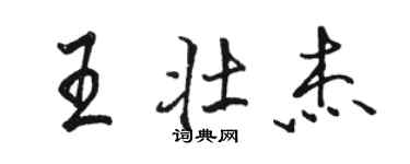 駱恆光王壯傑行書個性簽名怎么寫