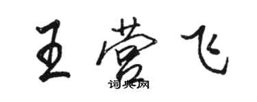 駱恆光王營飛行書個性簽名怎么寫