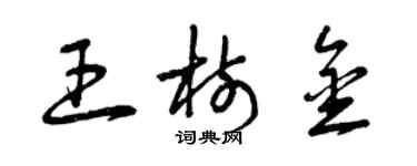 曾慶福王樹金草書個性簽名怎么寫