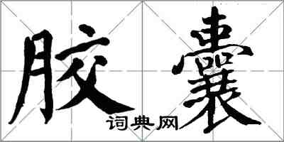 翁闓運膠囊楷書怎么寫