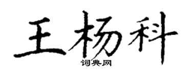 丁謙王楊科楷書個性簽名怎么寫