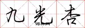 荊霄鵬九光杏行書怎么寫