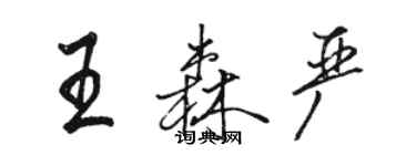 駱恆光王森嚴行書個性簽名怎么寫