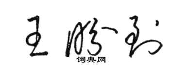 駱恆光王盼到草書個性簽名怎么寫