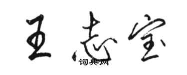 駱恆光王志寶行書個性簽名怎么寫