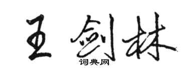 駱恆光王劍林行書個性簽名怎么寫