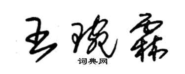 朱錫榮王琬霖草書個性簽名怎么寫