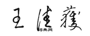 駱恆光王佳獲草書個性簽名怎么寫