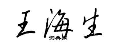 王正良王海生行書個性簽名怎么寫