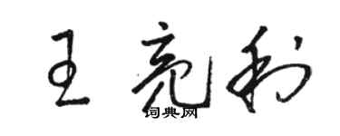 駱恆光王亮利草書個性簽名怎么寫