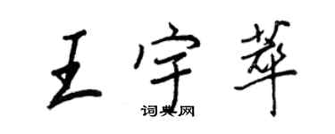 王正良王宇萃行書個性簽名怎么寫