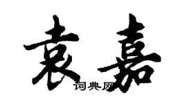 胡問遂袁嘉行書個性簽名怎么寫