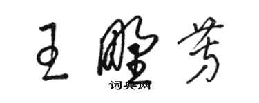 駱恆光王野芳草書個性簽名怎么寫