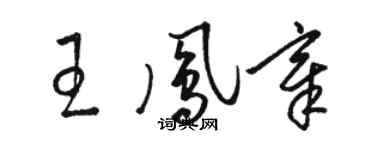 駱恆光王鳳章草書個性簽名怎么寫