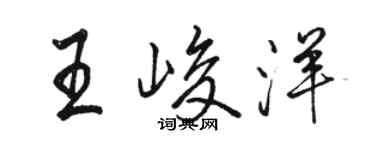 駱恆光王峻洋行書個性簽名怎么寫