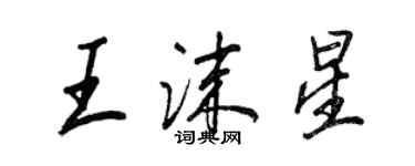 王正良王沫星行書個性簽名怎么寫