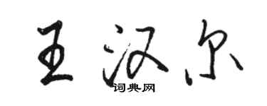 駱恆光王漢爾行書個性簽名怎么寫