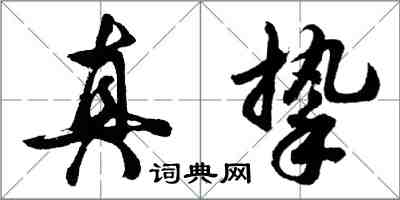 胡問遂真摯行書怎么寫