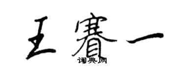 王正良王賽一行書個性簽名怎么寫