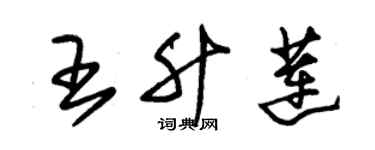 朱錫榮王升蓮草書個性簽名怎么寫