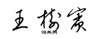 梁錦英王樹賓草書個性簽名怎么寫