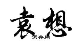 胡問遂袁想行書個性簽名怎么寫