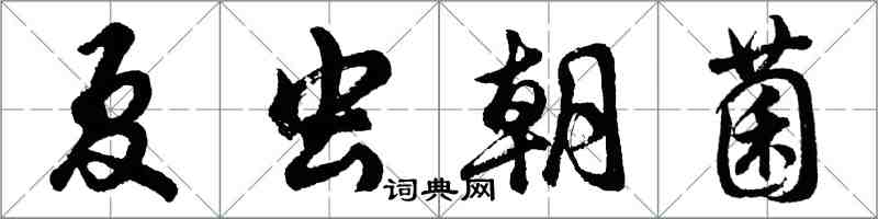 胡問遂夏蟲朝菌行書怎么寫