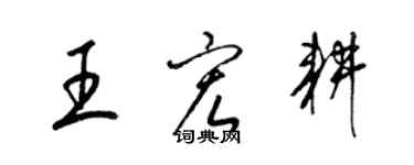 梁錦英王宏耕草書個性簽名怎么寫