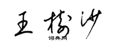 梁錦英王樹沙草書個性簽名怎么寫