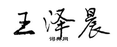 曾慶福王澤晨行書個性簽名怎么寫