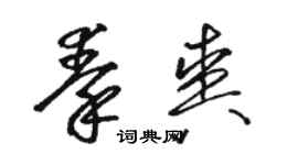 駱恆光秦爽草書個性簽名怎么寫