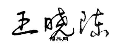 曾慶福王曉陳草書個性簽名怎么寫